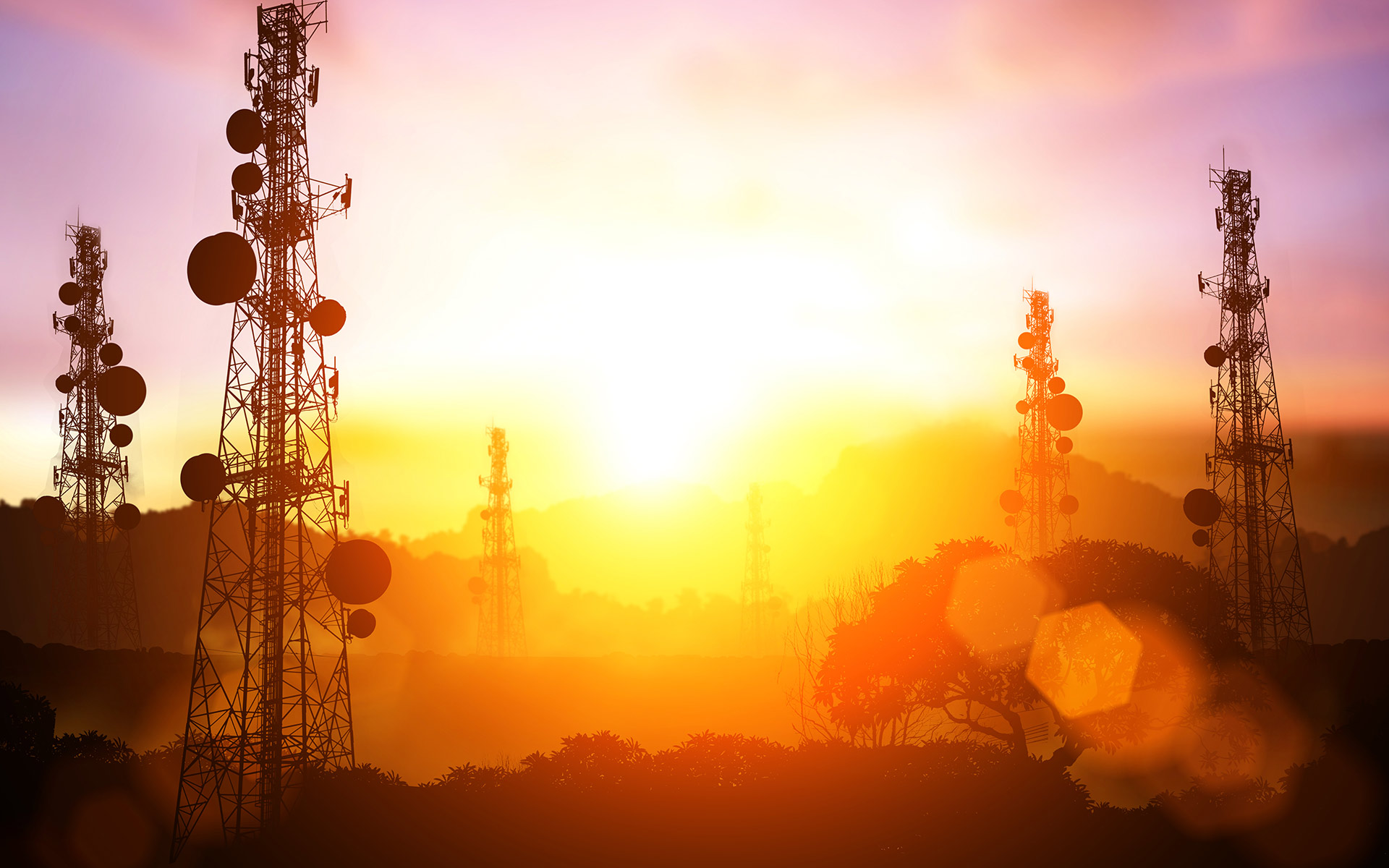 Telecom Operators